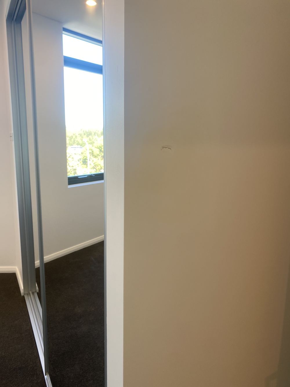 Pre-Listing Inspections in Tallawong
