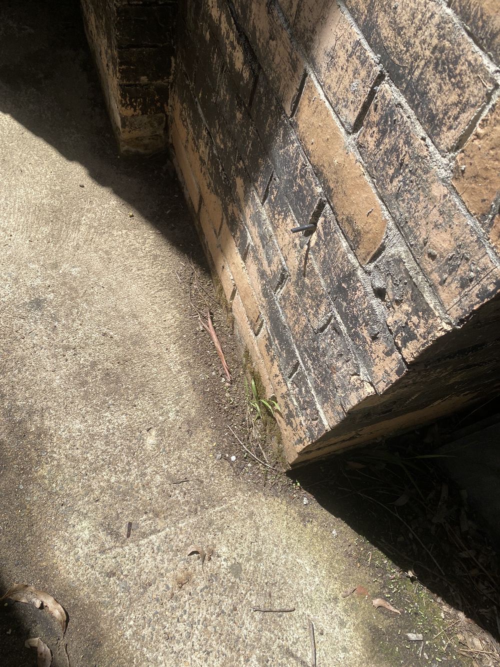 High moisture along the side of the house where termites had struck, found during a building and pest inspection in St Ives